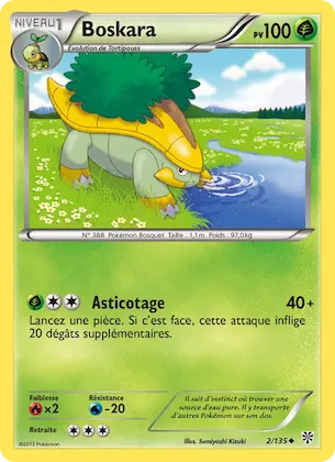 Boskara n° 2 – Tempète Plasma