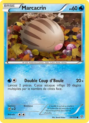 Marcacrin n° 26 – Tempète Plasma