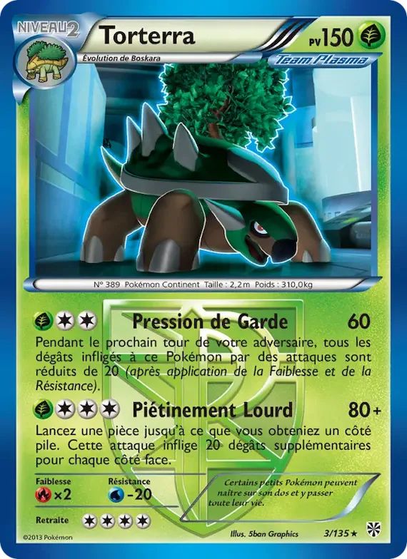 Torterra 3 – Tempète Plasma