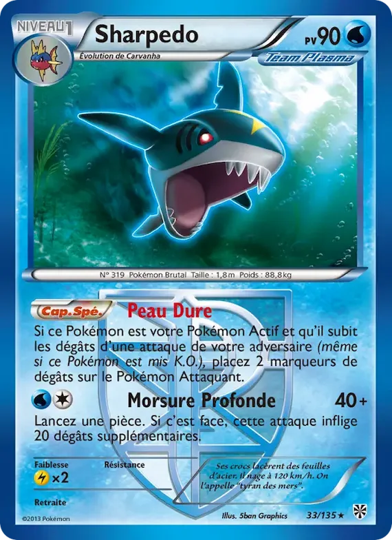 Sharpedo 33 – Tempète Plasma