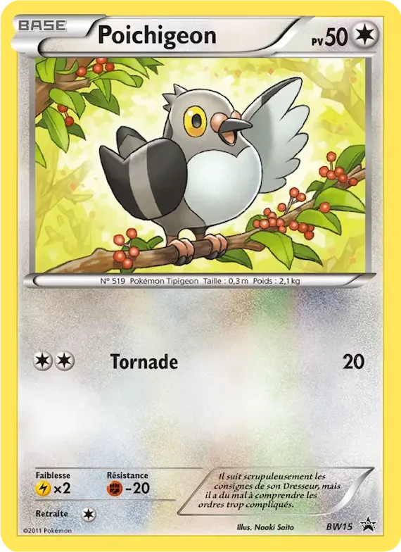 Poichigeon BW15 – Promo BW