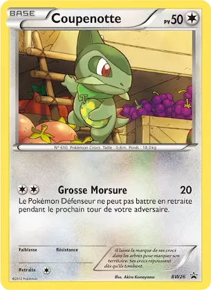 Coupenotte n° BW26 – Promo BW