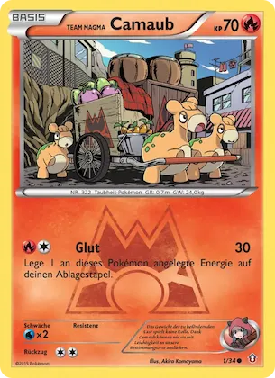 Team Magma's Numel Nr. 1 – Double Crisis