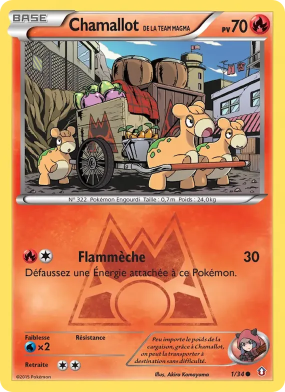 Chamallot de la Team Magma 1 – Double Danger