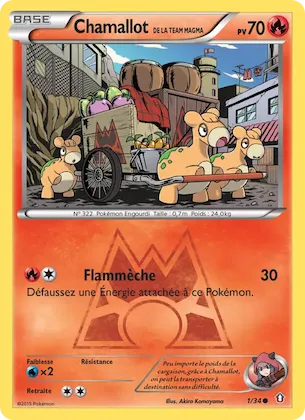 Chamallot de la Team Magma n° 1 – Double Danger