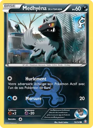 Medhyèna de la Team Aqua n° 16 – Double Danger