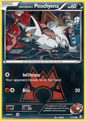 Team Magma's Poochyena #17 – Double Crisis