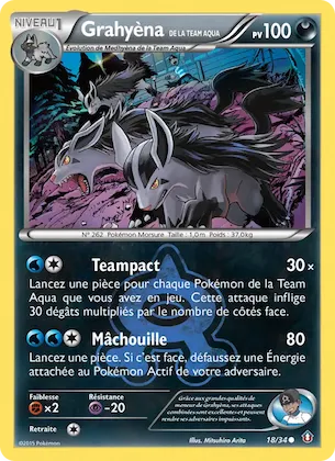 Grahyèna de la Team Aqua n° 18 – Double Danger