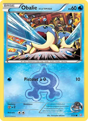 Obalie de la Team Aqua 3 – Double Danger