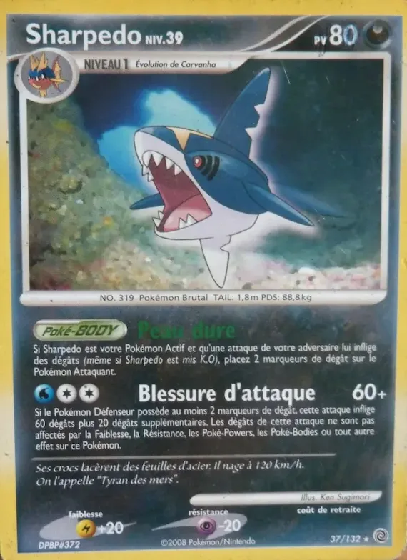 Sharpedo 37 – Merveilles Secrètes