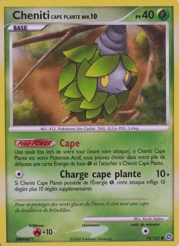 Cheniti Cape Plante 78 – Merveilles Secrètes