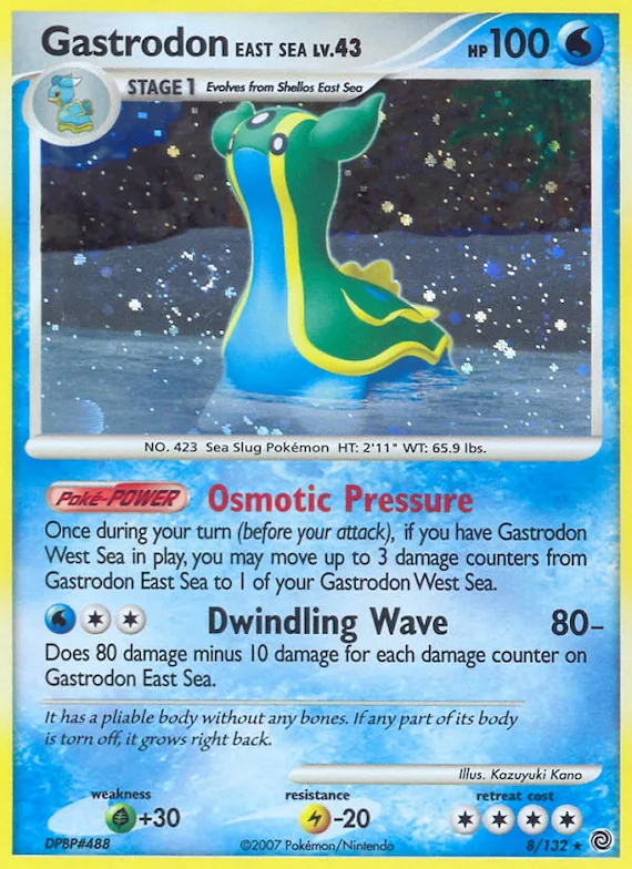 Gastrodon East Sea #8 – Secret Wonders