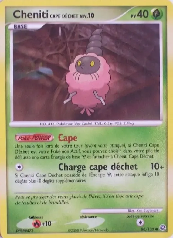 Cheniti Cape Déchet 80 – Merveilles Secrètes