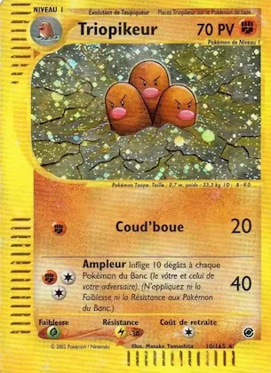 Triopikeur n° 10 – Expedition