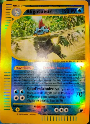 Aligatueur 12 – Expedition