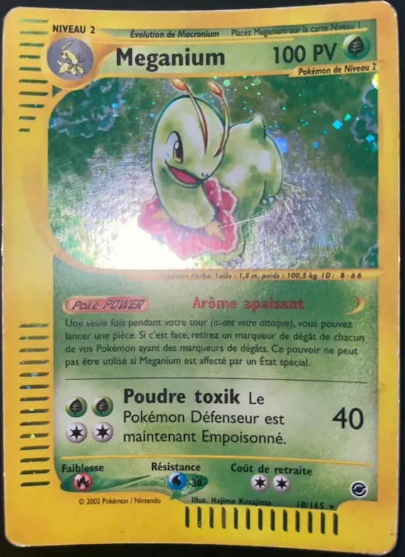 Meganium 18 – Expedition