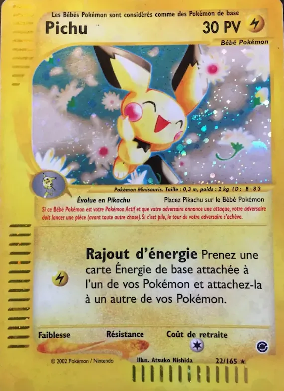 Pichu 22 – Expedition