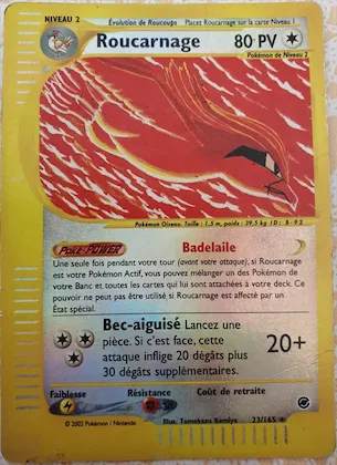 Roucarnage n° 23 – Expedition