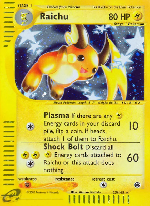 Raichu 25 – Expedition
