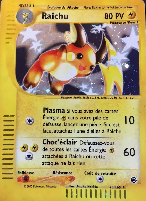 Raichu 25 – Expedition