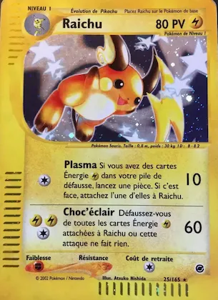 Raichu n° 25 – Expedition