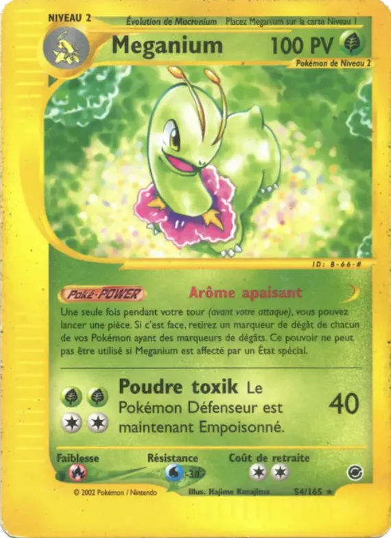Meganium 54 – Expedition