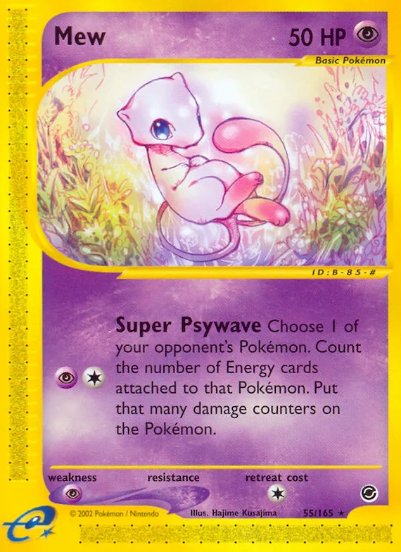 Mew 55 – Expedition