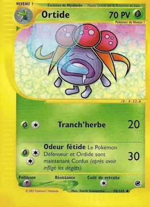 Ortide n° 78 – Expedition