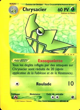 Chrysacier n° 87 – Expedition