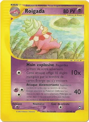 Roigada n° 34 – Aquapolis