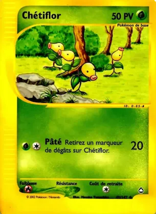 Chétiflor n° 45 – Aquapolis