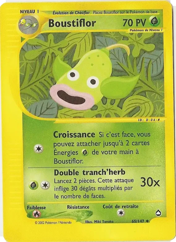 Boustiflor 65 – Aquapolis