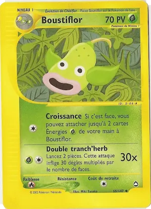 Boustiflor n° 65 – Aquapolis