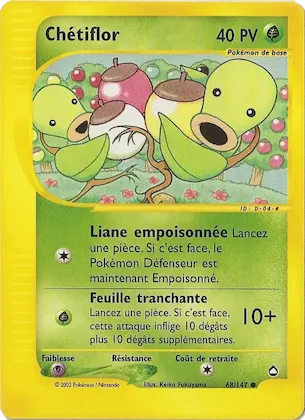 Chétiflor n° 68 – Aquapolis