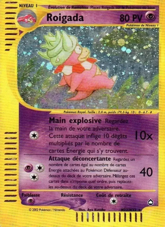 Roigada H22 – Aquapolis