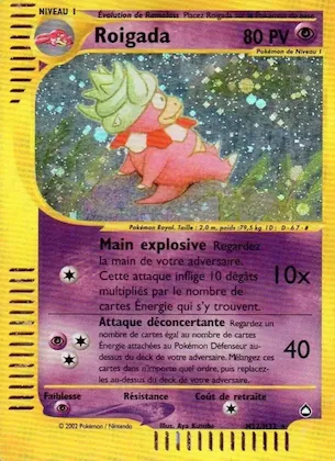 Roigada H22 – Aquapolis