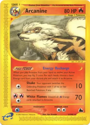 Arcanine n° 3 – Skyridge