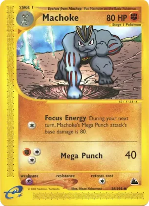 Machoke n° 38 – Skyridge