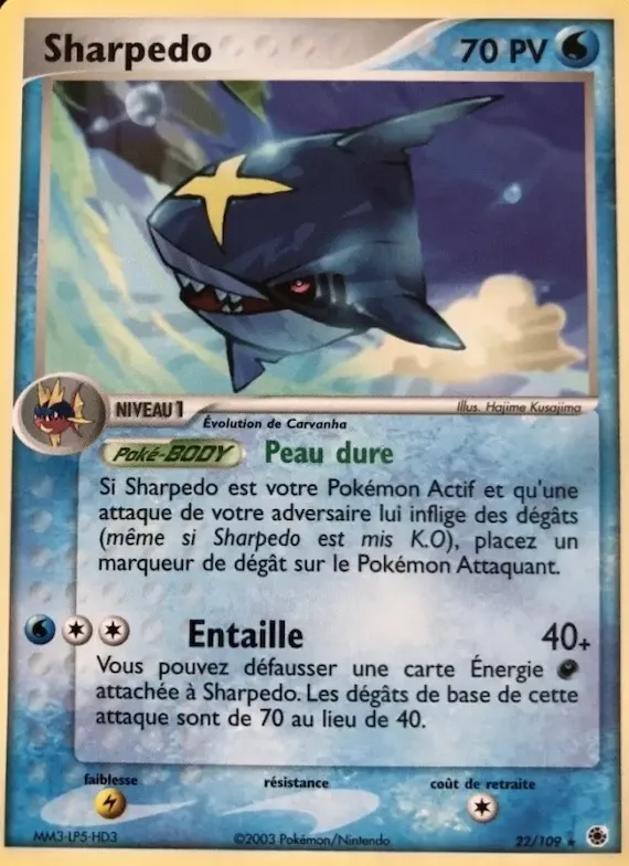 Sharpedo 22 – EX Rubis & Saphir