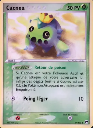 Cacnea n° 57 – EX Tempête de sable