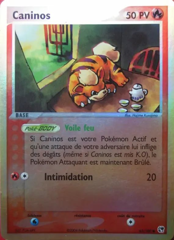 Caninos 65 – EX Tempête de sable