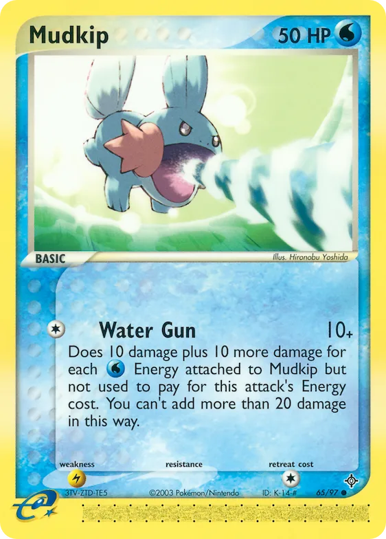 Mudkip #65 – Dragon