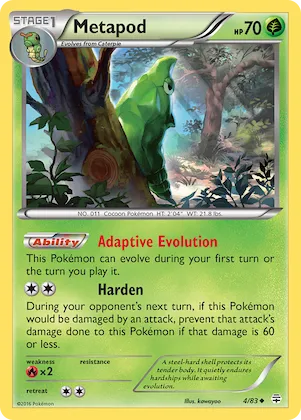 Metapod #4 – Generations
