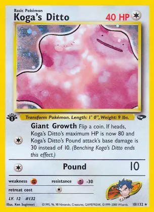 Koga's Ditto n° 10 – Gym Challenge