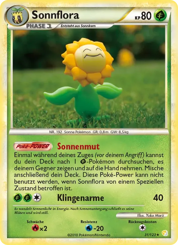 Sonnflora 31 – HeartGold SoulSilver