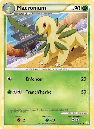 Macronium n° 35 – HeartGold SoulSilver