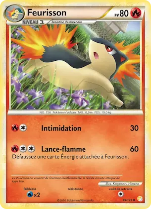 Fleurisson n° 49 – HeartGold SoulSilver