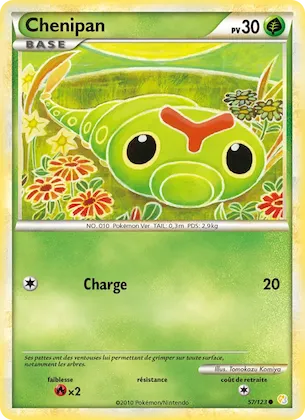 Chenipan n° 57 – HeartGold SoulSilver