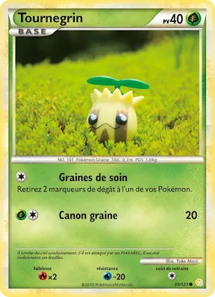 Tournegrin n° 85 – HeartGold SoulSilver