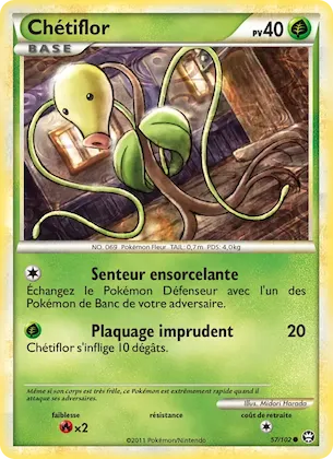 Chétiflor n° 57 – Triomphant